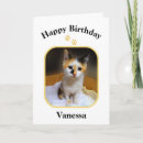 Search for calico kitten cards Cat