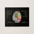 Search for brain puzzles Education