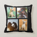 Search for pets baby kids Dog lover