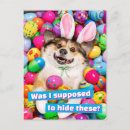 Search for funny easter postcards Dog