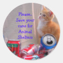 Search for shelter Help