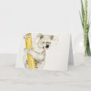 Search for baby koala cards Animals