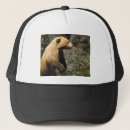 Search for wildlife conservation hats Nature