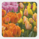 Search for lisse stickers Travel