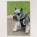 Search for miniature puzzles Canine