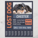 Search for missing flyers Pet