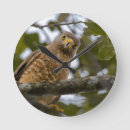 Search for photograph clocks Nature photography