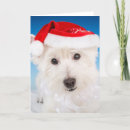 Search for beard christmas cards Westie