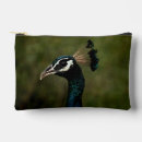 Search for peacocks accessories Peahen