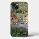 Search for kenya electronics Cub