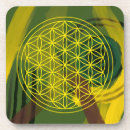 Search for magnetic coasters Mandala