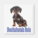 Search for dachshund magnets Daschund