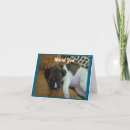 Search for rest cards Cute