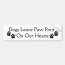 Search for black and white cat bumper stickers Pet