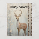 Search for winter deer postcards Wildlife