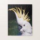 Search for cockatoo bird puzzles Yellow