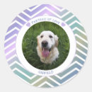 Search for abstract dog stickers Modern