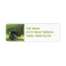 Search for wild turkey return address labels Bird