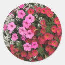 Search for springtime stickers Yellow
