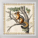 Search for wild forest animals posters Camping