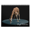 Search for giraffe calendars African animals