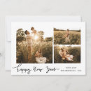 Search for cute new years cards Script