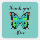 Search for abstract butterfly stickers Modern