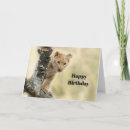 Search for lion and cub cards Wildlife