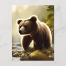 Search for brown bear postcards Wildlife