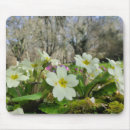 Search for perennials mousepads Flower