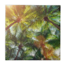 Search for palm tree tiles Island
