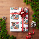 Search for pitbull wrapping paper Staffordshire