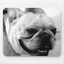 Search for bulldog mousepads French