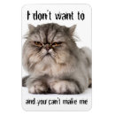 Search for cranky magnets Grumpy