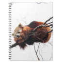 Search for red panda notebooks Animal