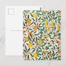 Search for pomegranate postcards Botanical