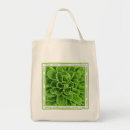 Search for lettuce bags Vegetables