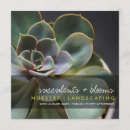 Search for succulent plants invitations Garden