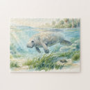 Search for manatee puzzles Florida wildlife
