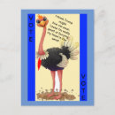 Search for funny ostrich postcards Ostriches