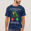 Search for eclectus parrot Animal