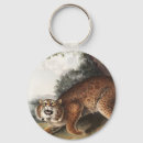 Search for rufus key rings Wildlife