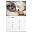 Search for aussie office supplies Puppies