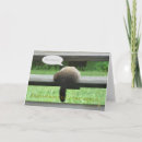 Search for groundhogs cards Animals