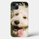 Search for panting cases Pet