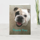Search for pet sitter cards Dog