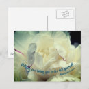 Search for peace flower photography Inspirational