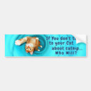 Search for kitties bumper stickers Paws