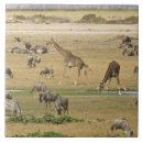 Search for migrate tiles Herd