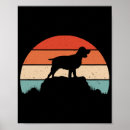 Search for springer spaniel dog posters Pet